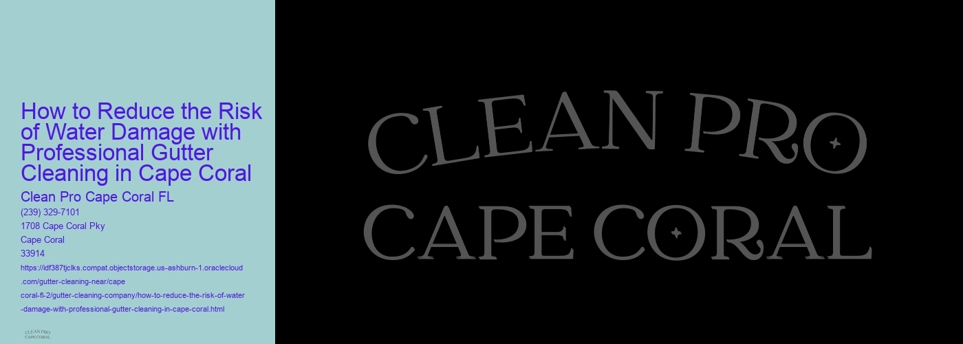 How to Reduce the Risk of Water Damage with Professional Gutter Cleaning in Cape Coral 